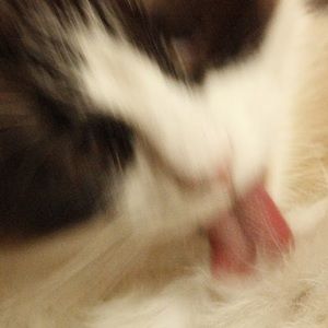 Meet your Posher, Eavan